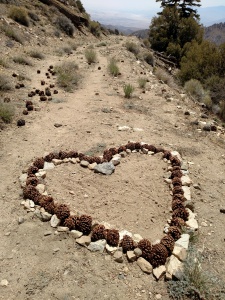 Trail Love